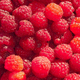 Fruits rouges : framboise